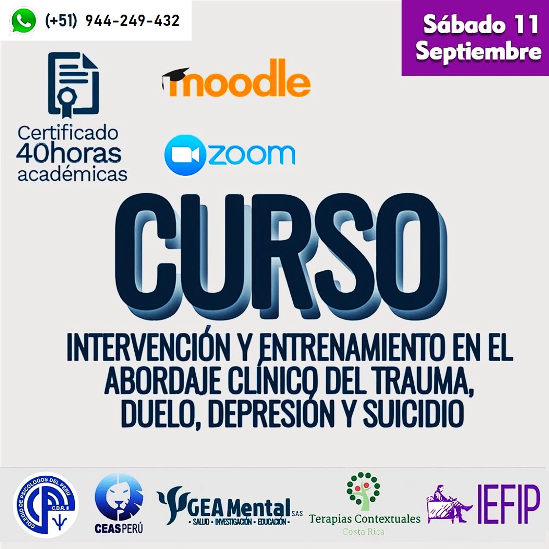CURSO INTERNACIONAL INTERVENCIÓN Y ENTRENAMIENTO EN EL ABORDAJE CLÍNICO DEL SUICIDIO, DEPRESIÓN, TRAUMA Y DUELO.